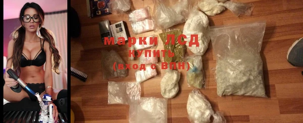 СК Алексин