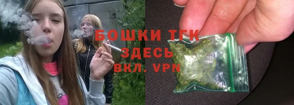 СК Алексин
