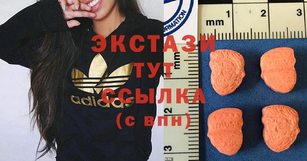 СК Алексин