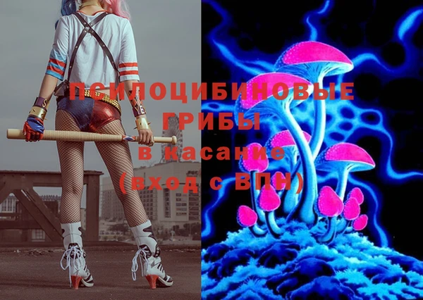 СК Алексин