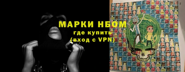 СК Алексин