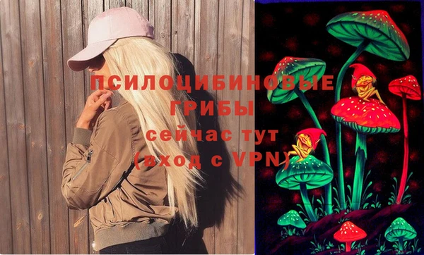 a pvp Алзамай